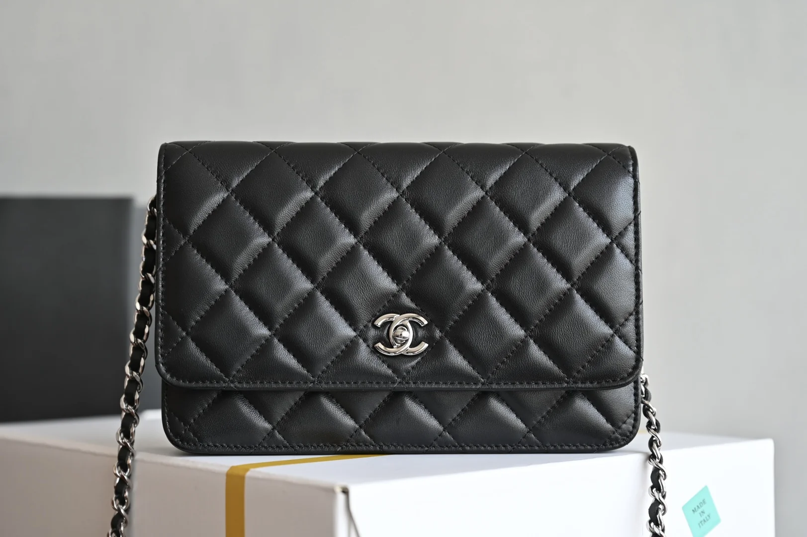 Chanel Wallet On Chain WOC Double C Lock Platinum Edition 12x19.3x3.5 cm - description_image1