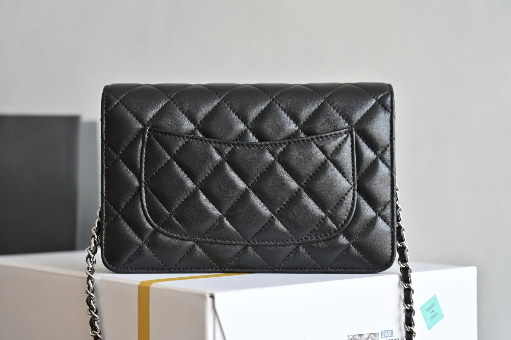 Chanel Wallet On Chain WOC Double C Lock Platinum Edition 12x19.3x3.5 cm - description_image2