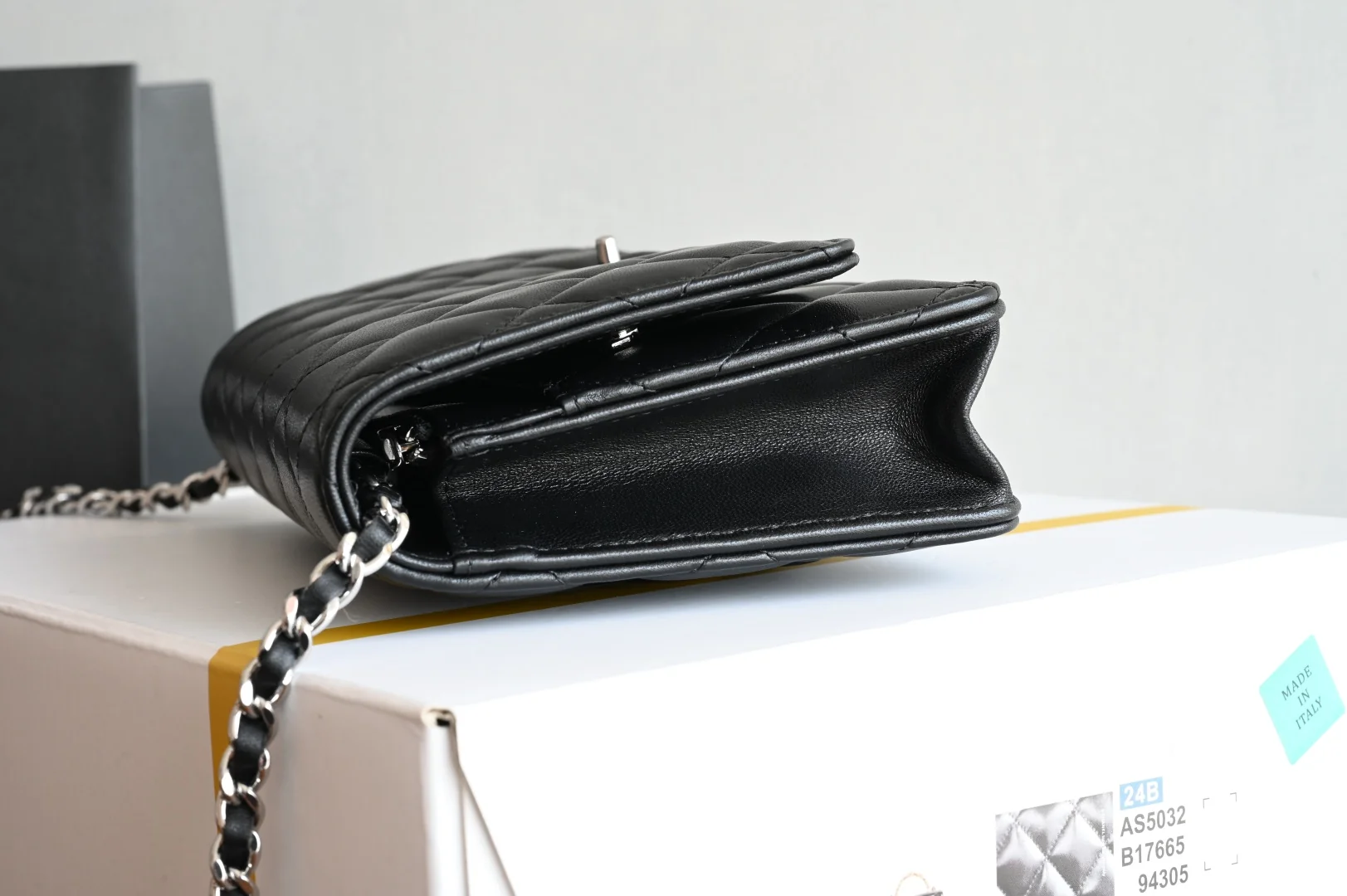 Chanel Wallet On Chain WOC Double C Lock Platinum Edition 12x19.3x3.5 cm - description_image4