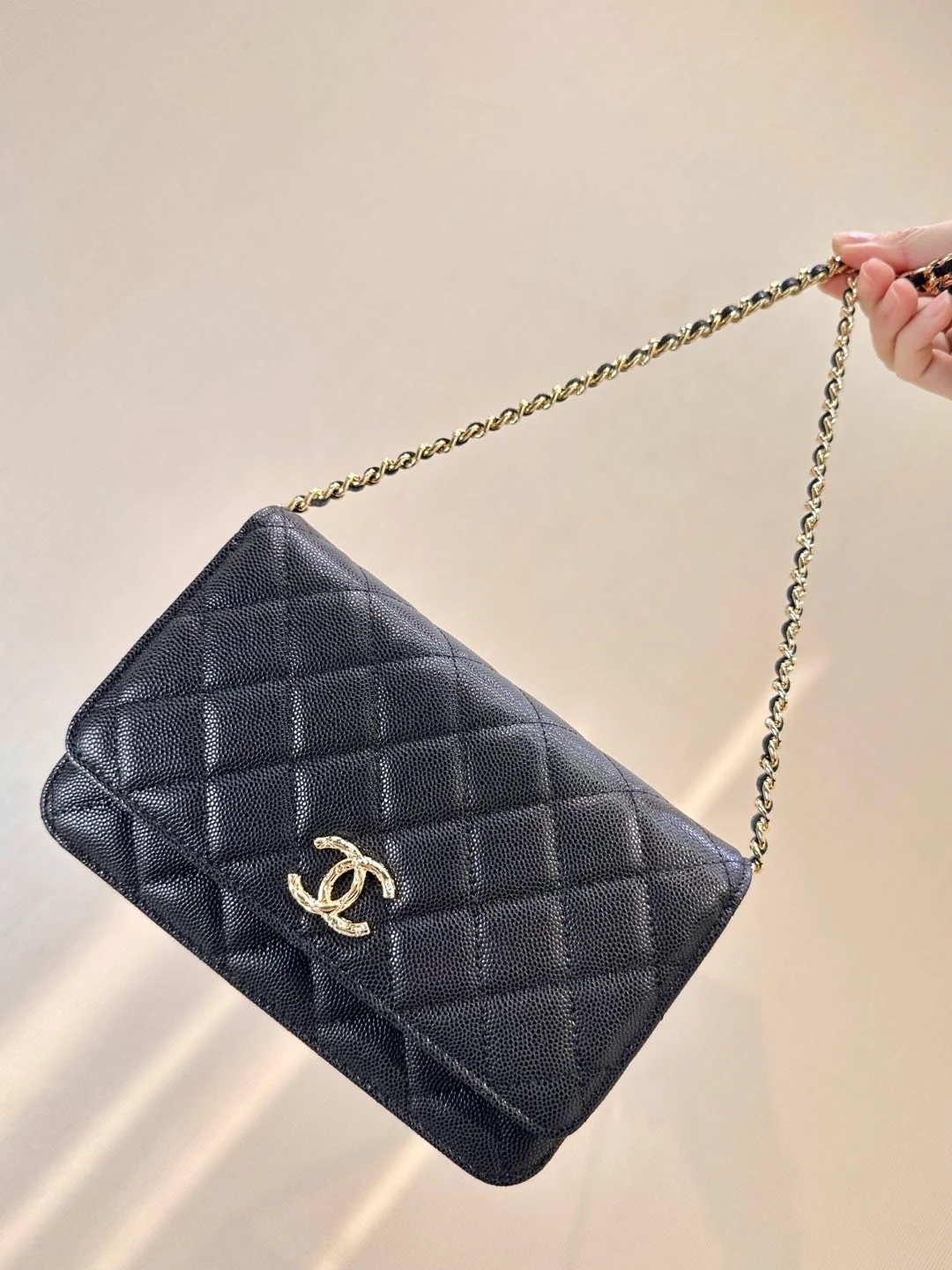 Chanel Wallet On Chain 3971 - description_image1