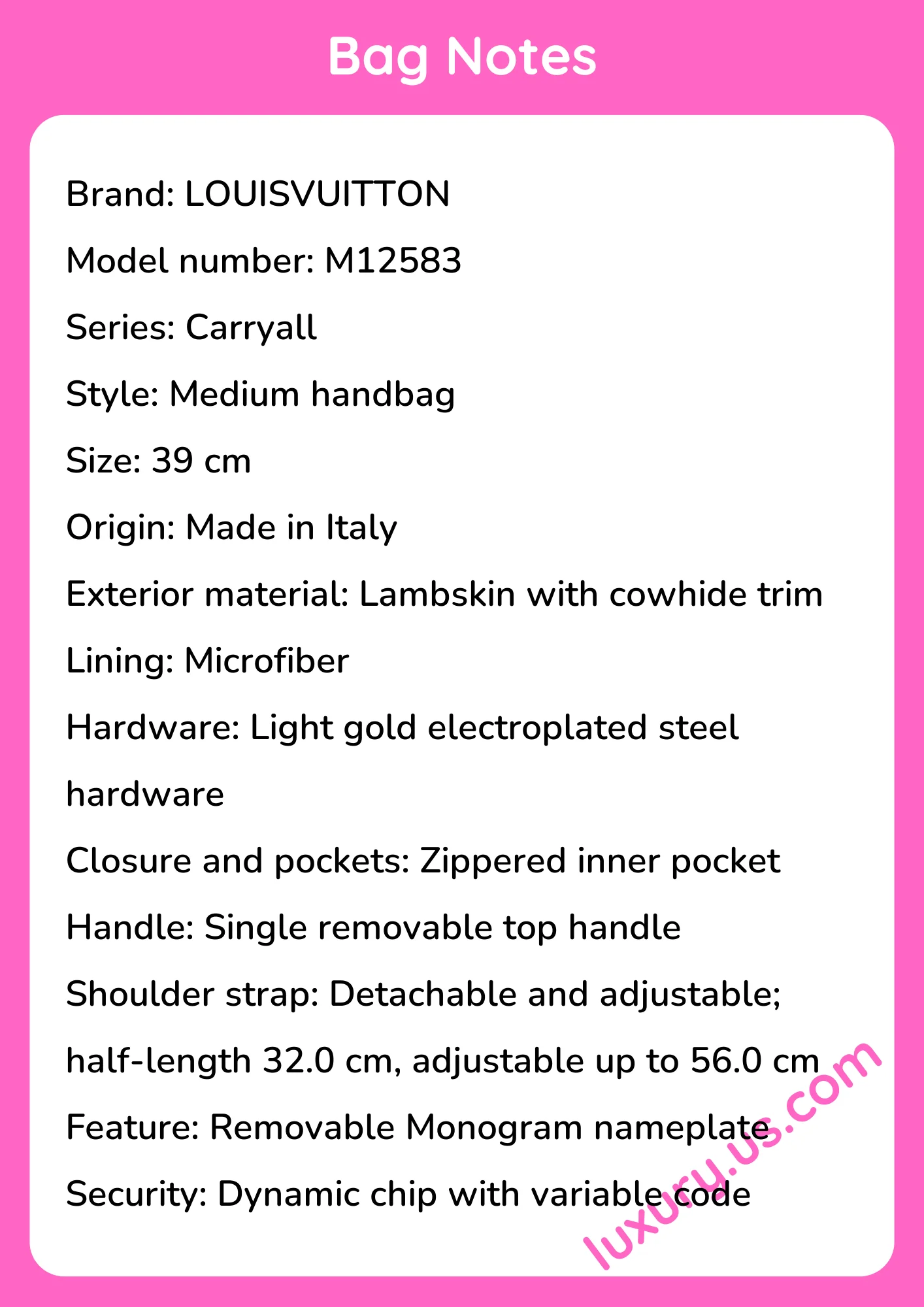 Louisvuitton Carryall Medium Handbag 39 cm - short_description_image1