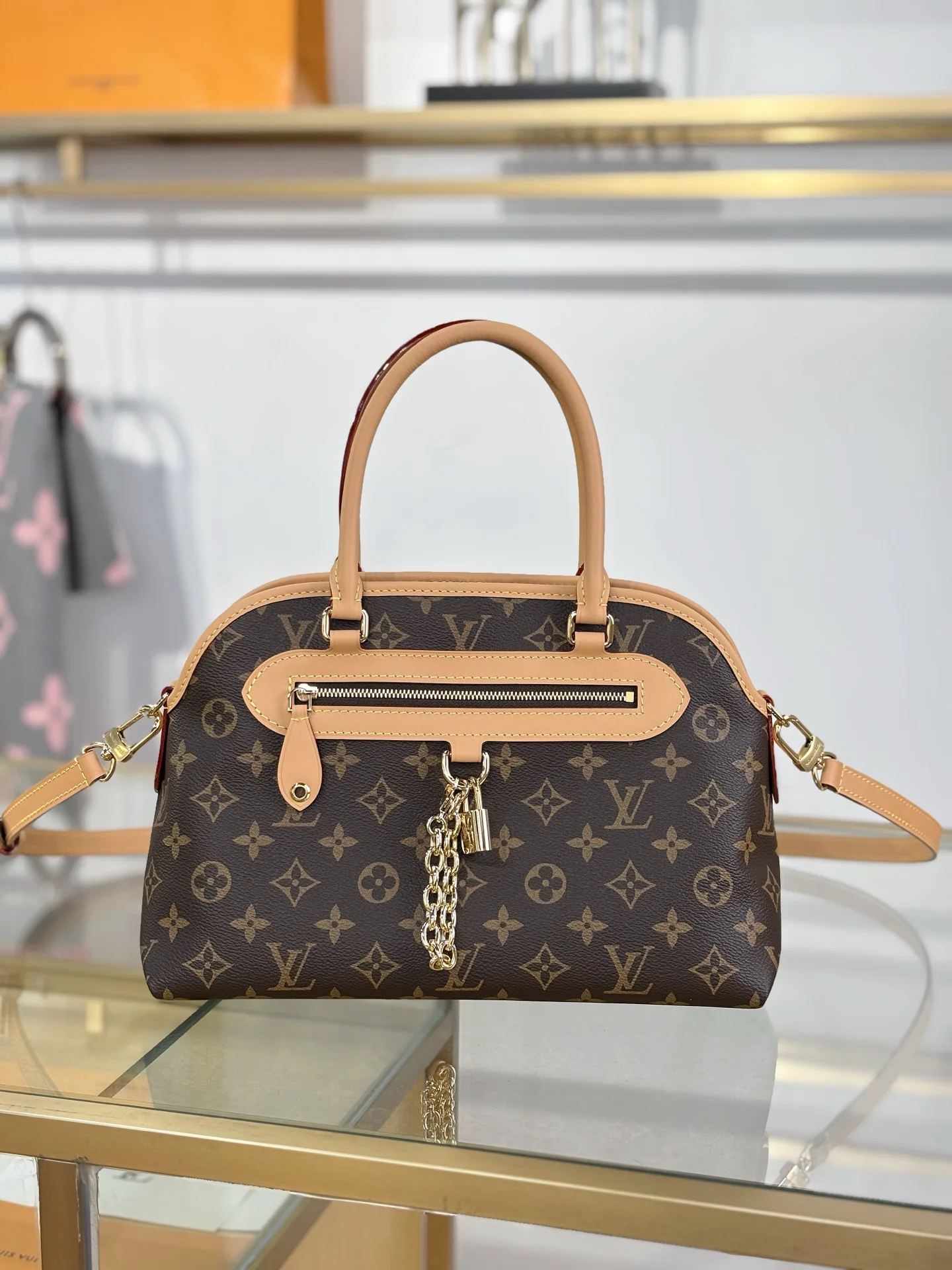 Louisvuitton Carryall Handbag M46197 Medium - description_image9