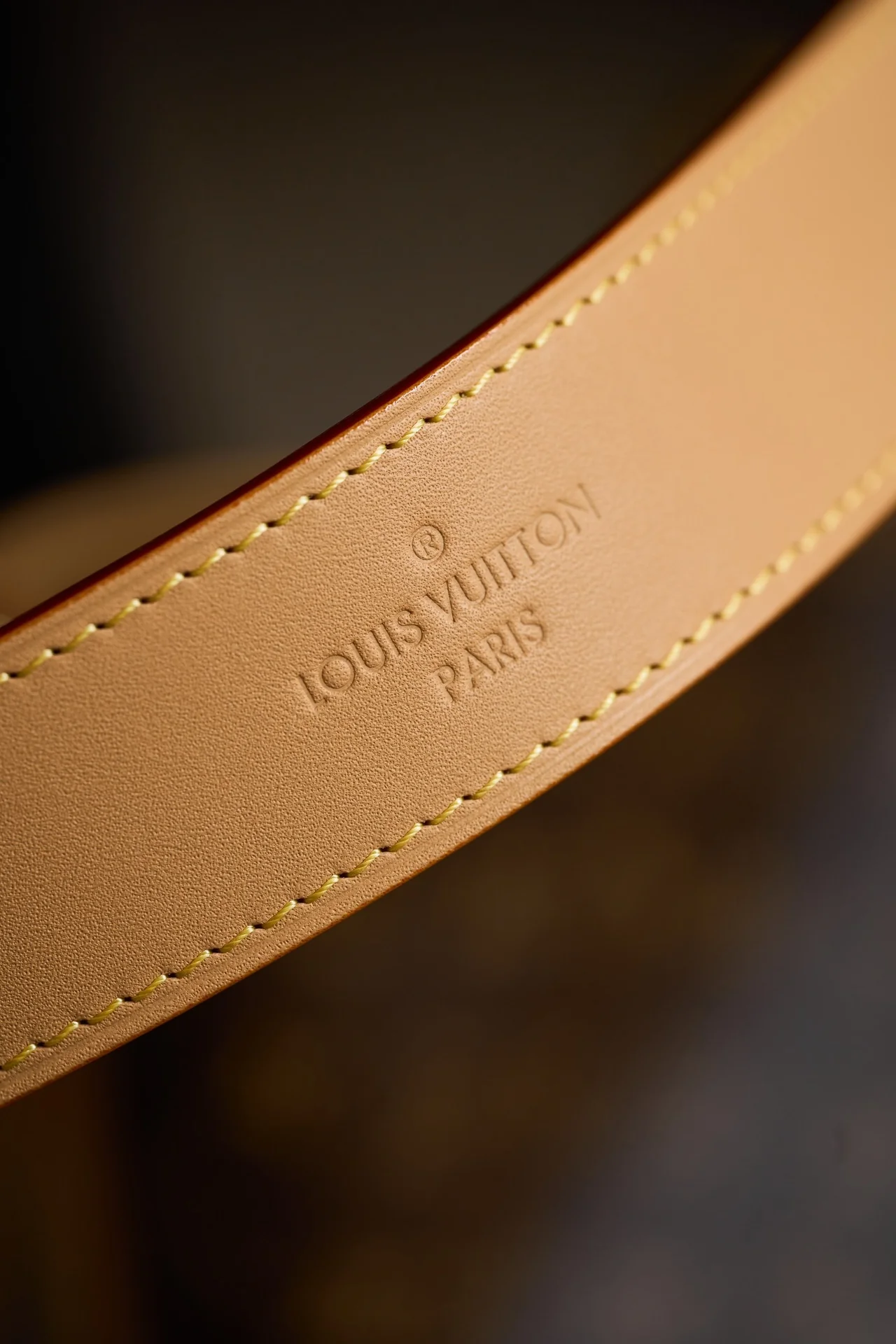 Louisvuitton Carryall small handbag M46203 - description_image4