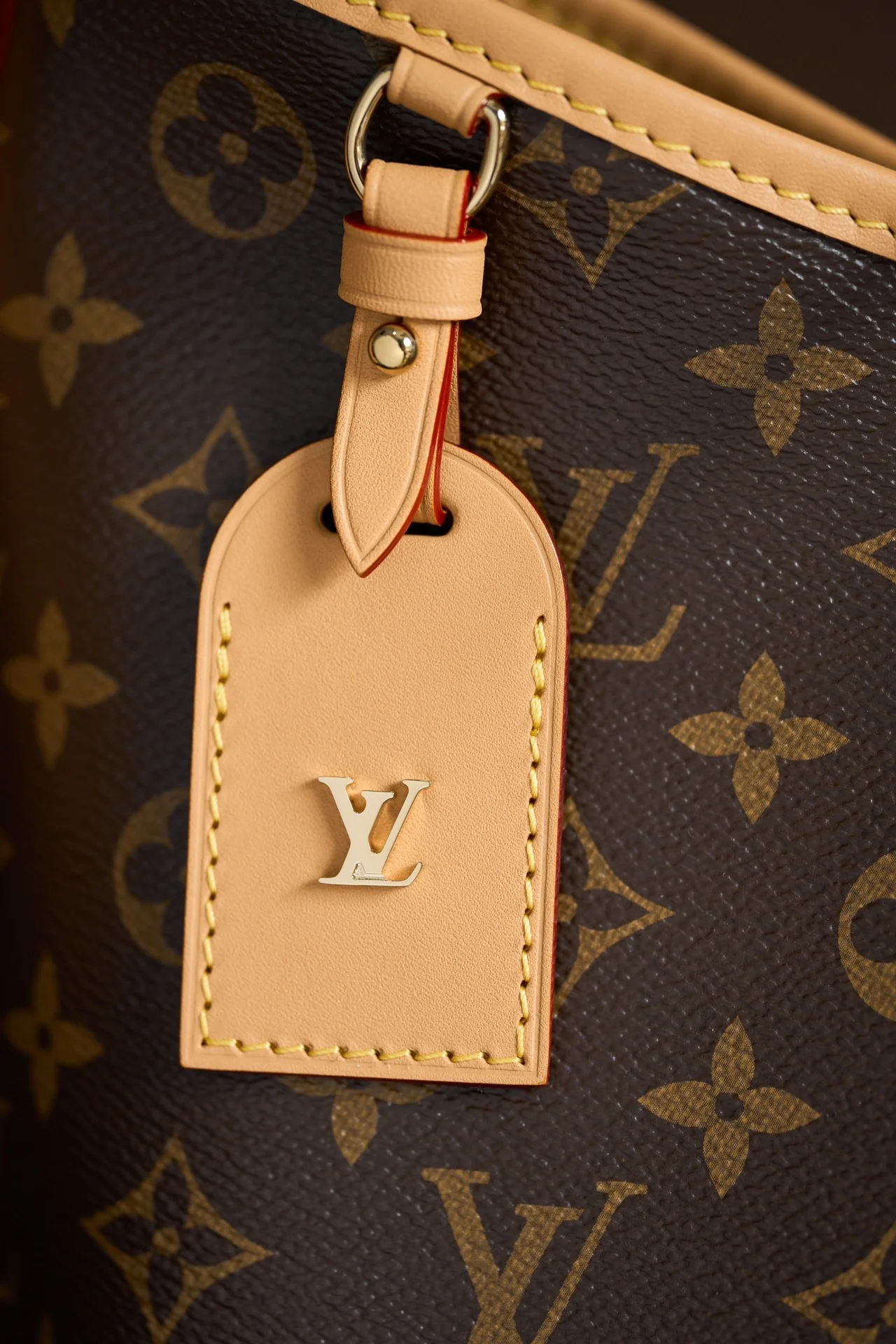 Louisvuitton Carryall M46203 29x24x12 cm - description_image8