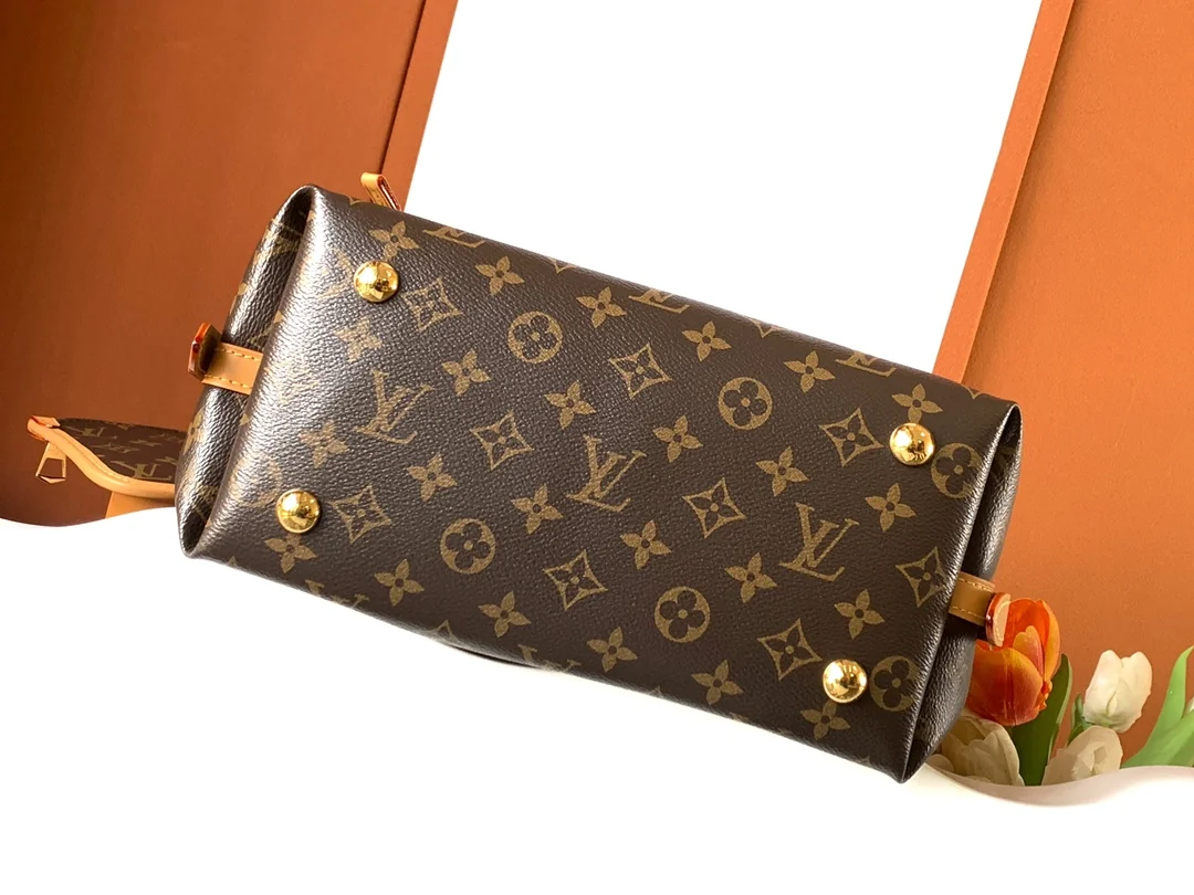 Louisvuitton Carryall Small Handbag M46203 29x24x12 cm - description_image4