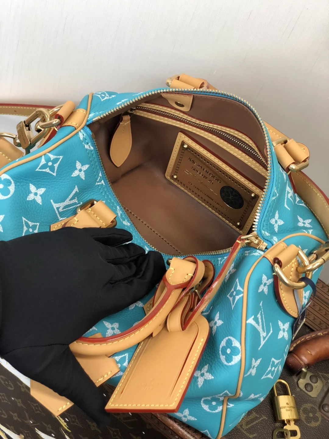 Louisvuitton Speedy P9 Bandouliere 25 25x15x15 cm - description_image9