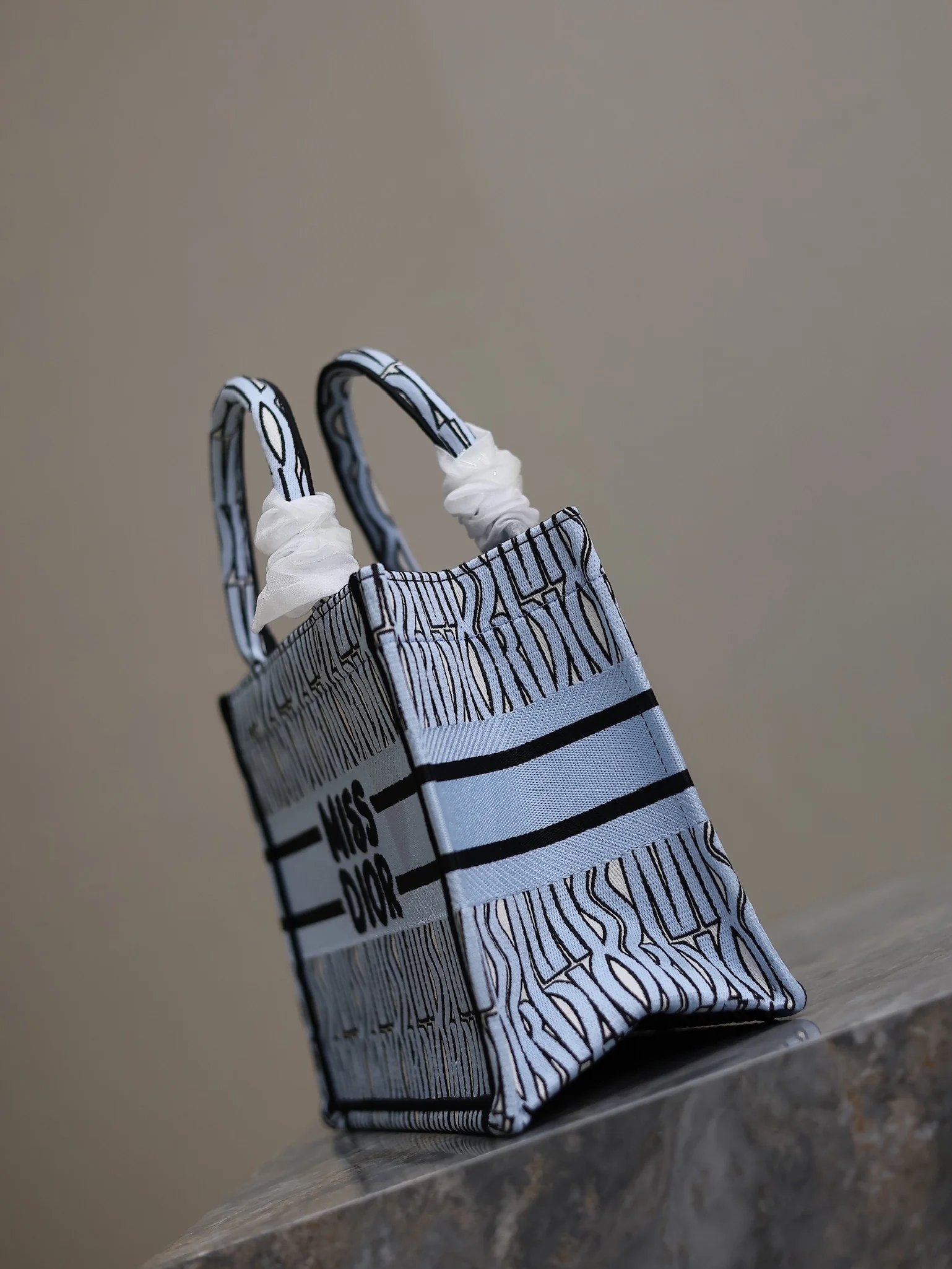 Dior Book Tote Mini 26.5x21x14 cm - description_image5