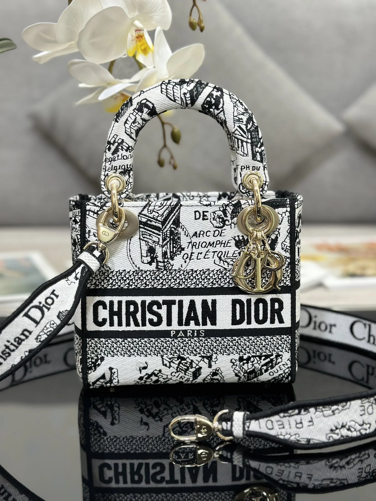 Dior Lady D-Lite Mini Embroidered Map Handbag 17 x 15 x 7 cm - description_image1