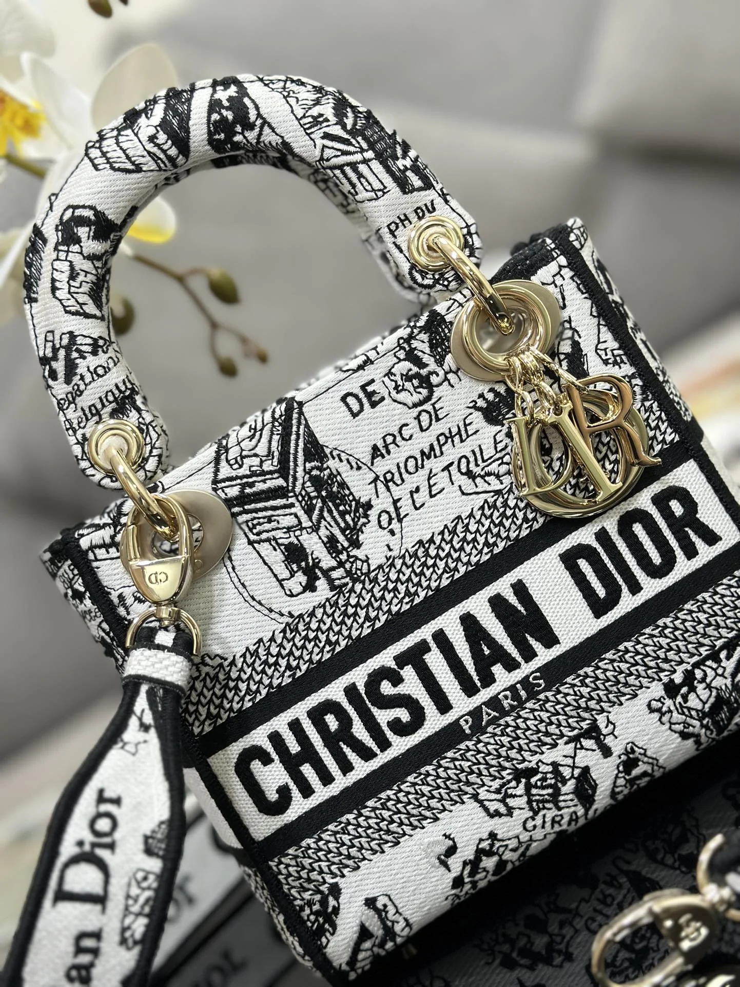 Dior Lady D-Lite Mini Embroidered Map Handbag 17 x 15 x 7 cm - description_image5